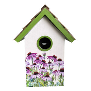 Purple Echinacea Flower – Standard Cottage Print